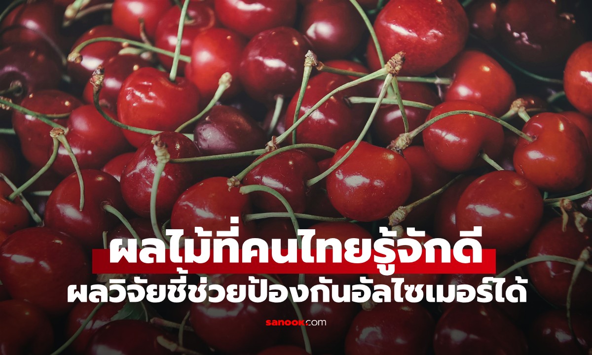 วิจัยเมืองนอกพบ “ผลไม้ชนิดนี้” ช่วยป้องกันอัลไซเมอร์ได้ คนไทยได้ยินชื่อแล้วร้องอ๋อ!