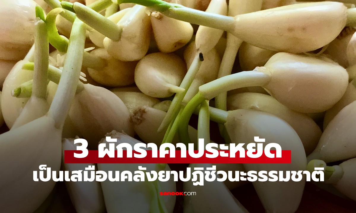 3 ผักราคาประหยัด แต่เป็นเสมือน “คลังยาปฏิชีวนะธรรมชาติ” ของทั้งครอบครัว