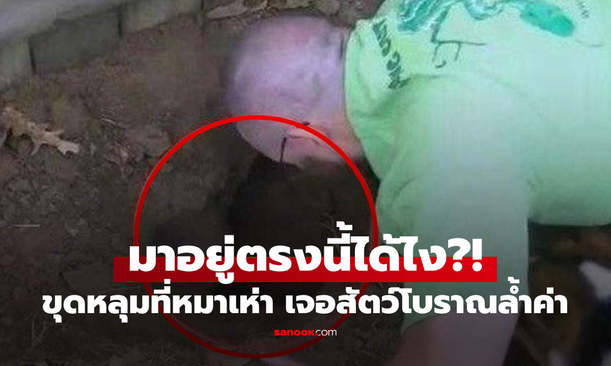 เอะใจ หมาเห่าหลุมหลังบ้าน ขุดพิสูจน์แทบไม่เชื่อตา เจอ “สัตว์ไซต์ยักษ์” อายุเป็นร้อยปี!!!