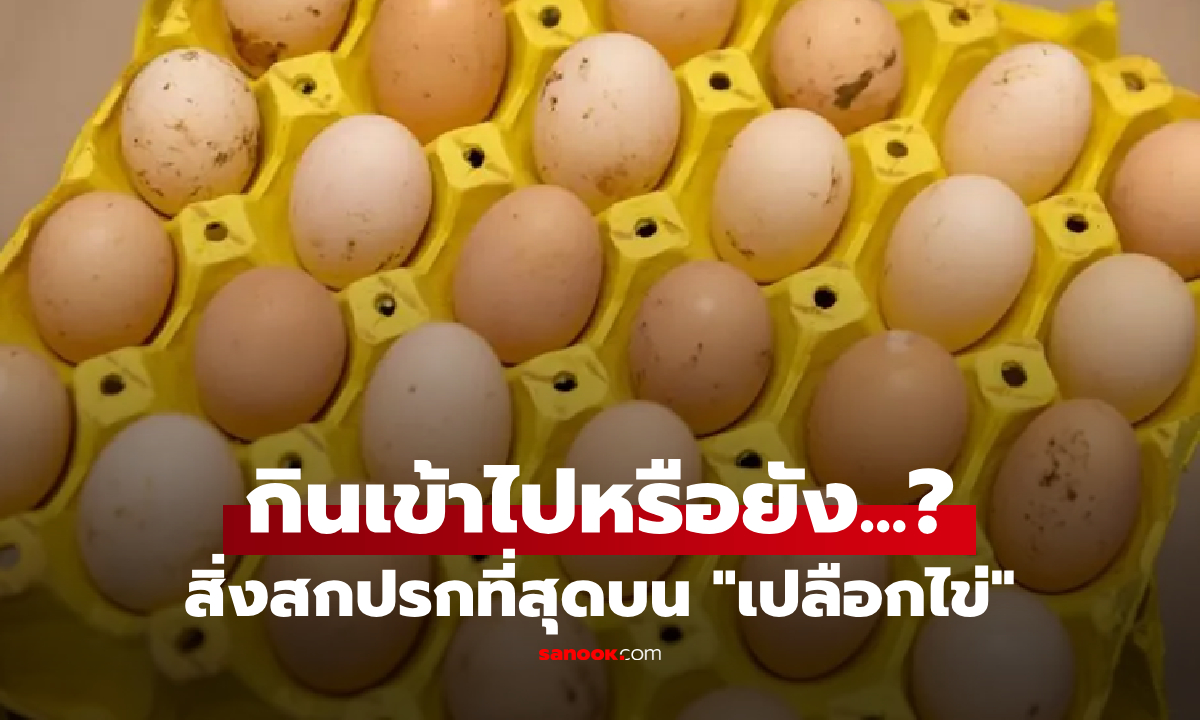 รู้หรือไม่? สิ่งสกปรกที่สุดบน “เปลือกไข่” อาจเป็นสิ่งที่คุณกินเข้าไปทุกวันโดยไม่รู้ตัว!