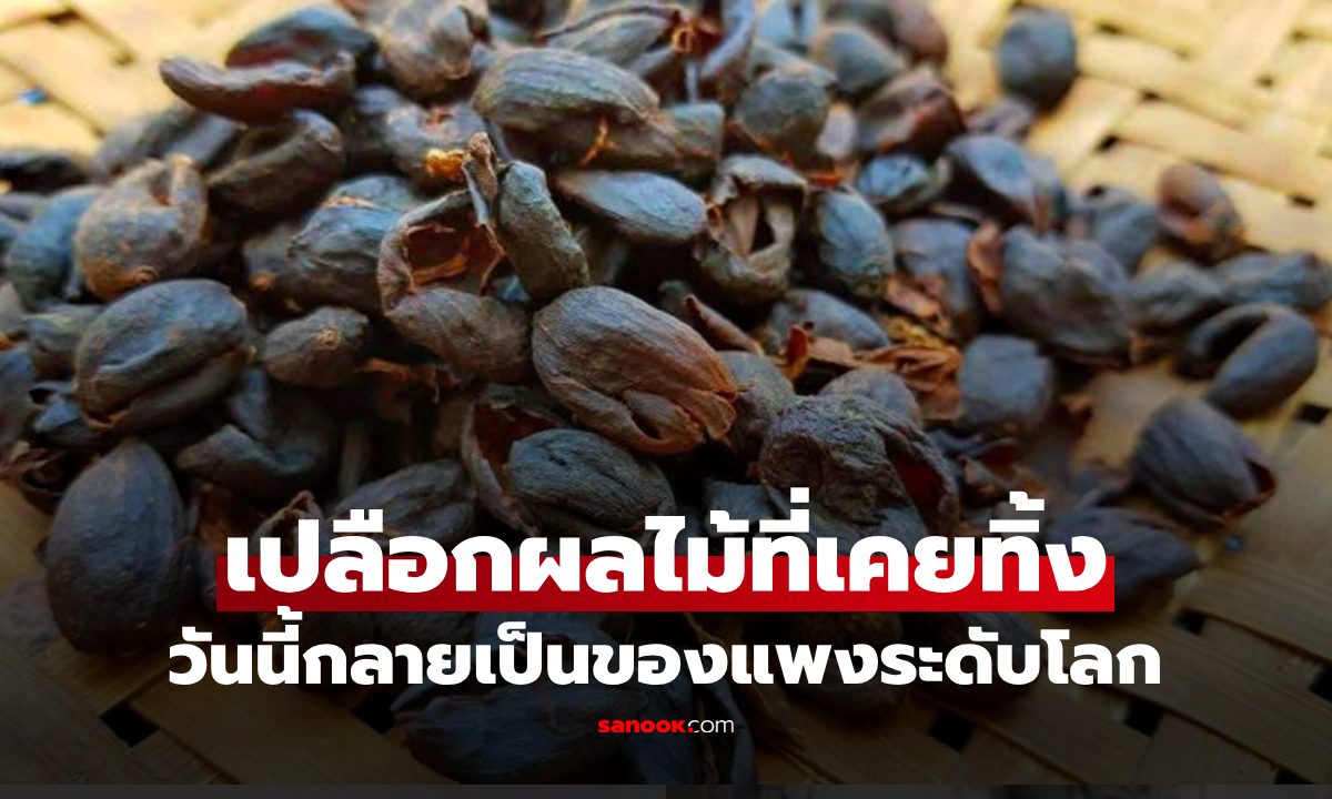 เปลือกผลไม้ที่เคยทิ้ง กลายเป็นที่ต้องการ แปรรูป “อาหารพิเศษของโลก” ราคาไม่ใช่ถูกๆ